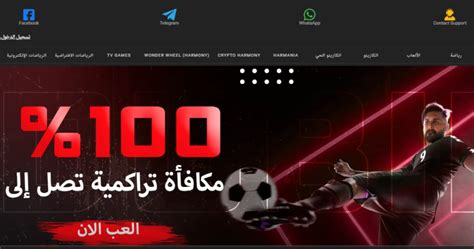 dubibet - Betting website