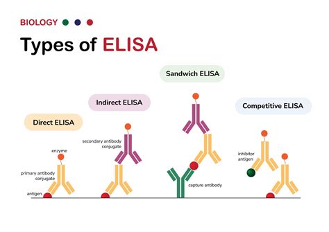 elisa.com